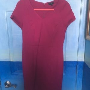 The Limited Fuchsia V-Neck Dress